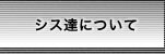 システムトレードの達人について